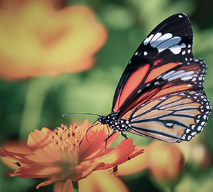 【注册码序列号】永久激活的手机版ddos攻击器