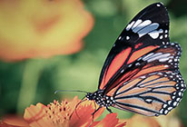 网络ddos攻击软件