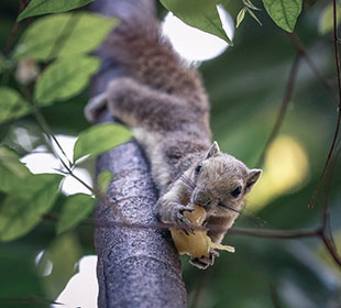 ddos服务器攻击手段