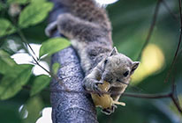 DDOS在线攻击平台