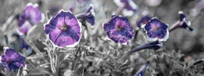 在线DDOS压力测试网页端