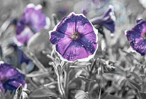 ddos压力测试平台