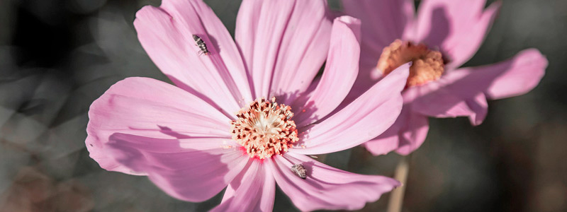 批发采购优惠的在线DDOS平台攻击