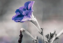 DDOS在线攻击平台